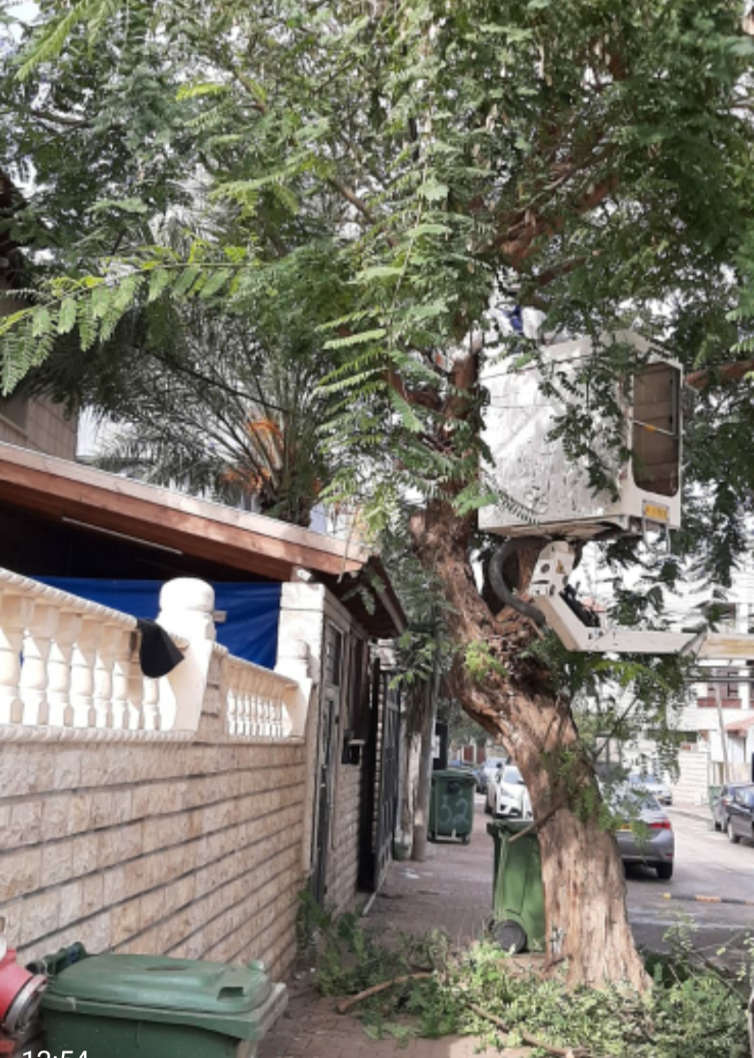 WhatsApp Image 2020-01-29 at 1.18.34 PM.jpeg.jpeg